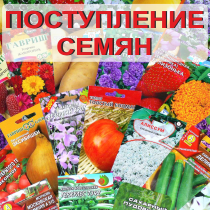 Поступление семян