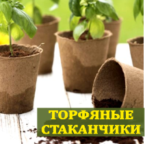 Торфяные стаканчики